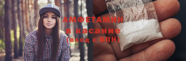 индика Пересвет
