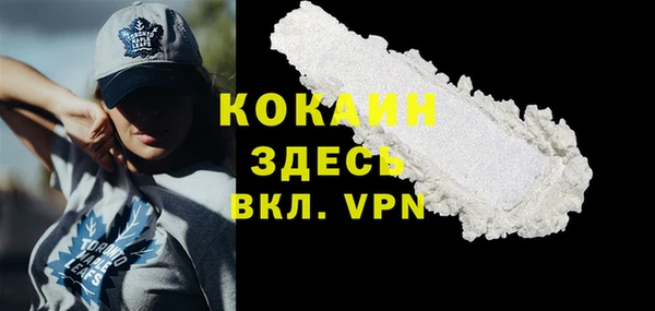 индика Пересвет