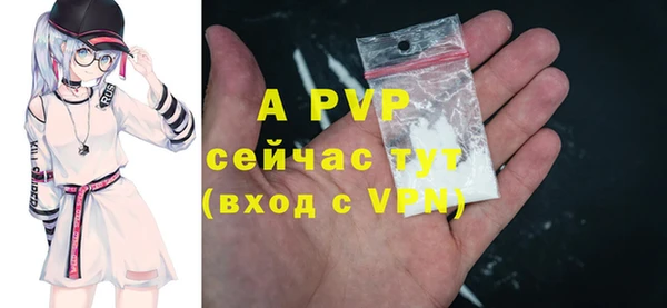 дурь Осташков