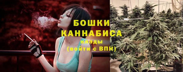 бошки Переславль-Залесский